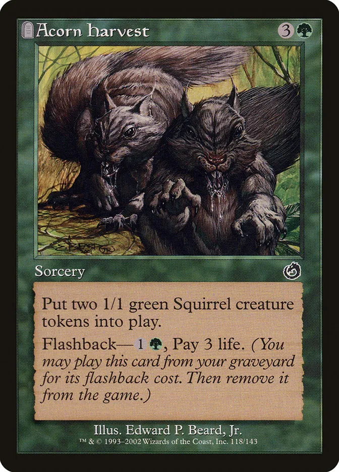 Acorn Harvest Front Face