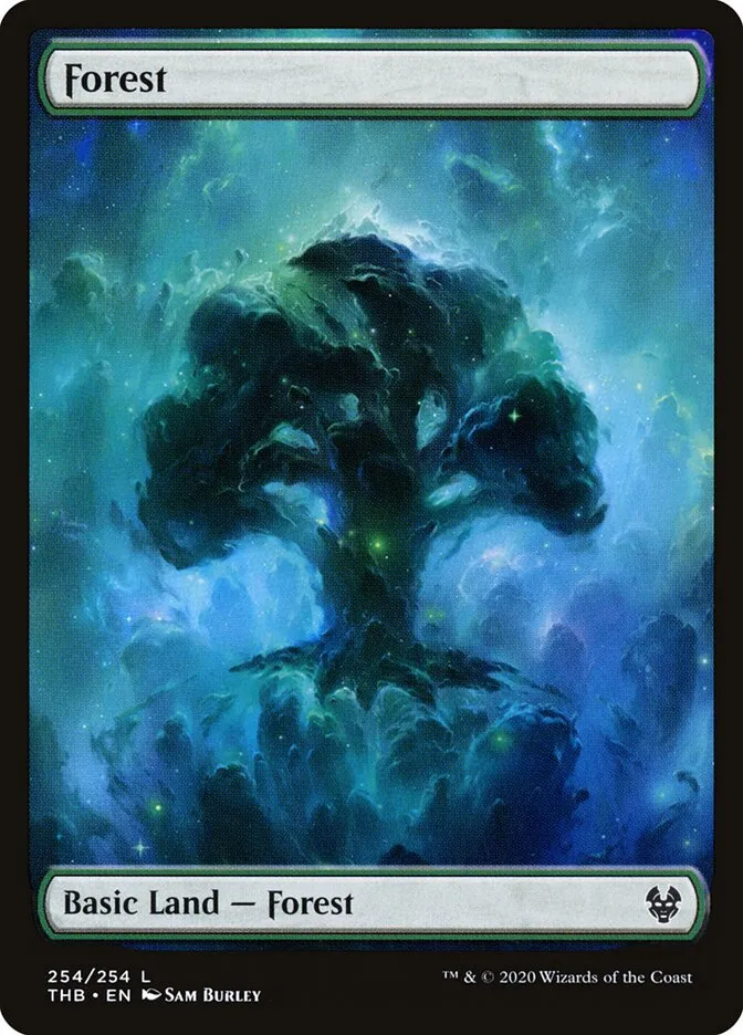 Forest Front Face