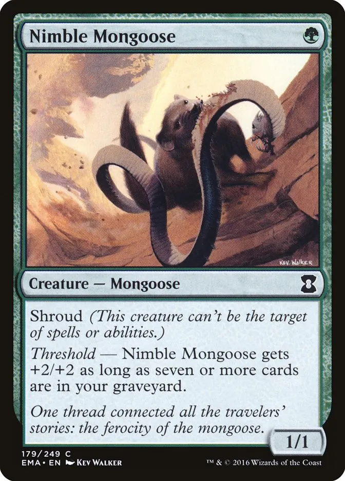 Nimble Mongoose Front Face