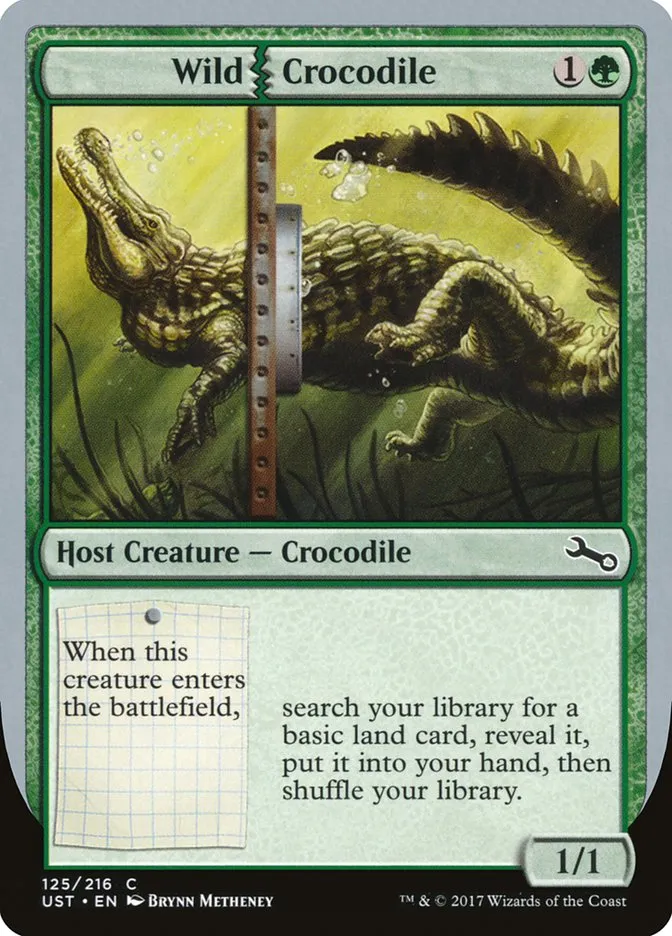 Wild Crocodile Front Face