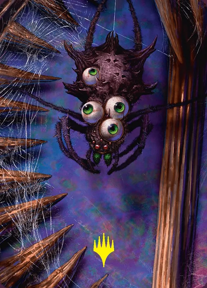 Spider // Spider Front Face