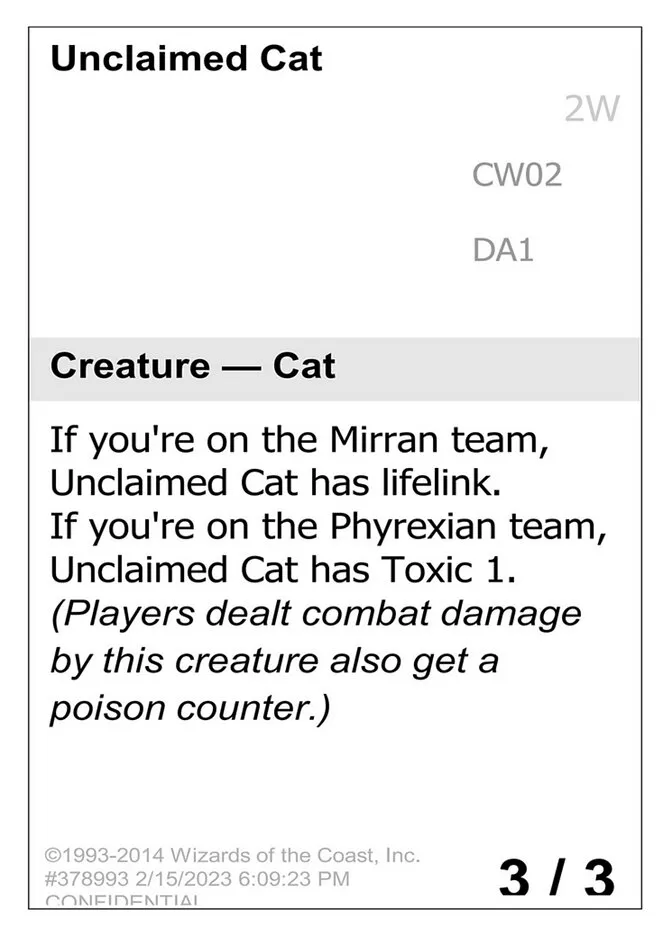 Unclaimed Cat Front Face
