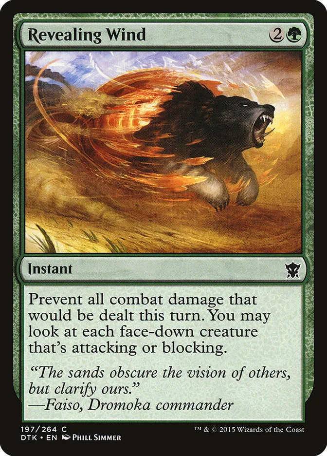 Revealing Wind Front Face