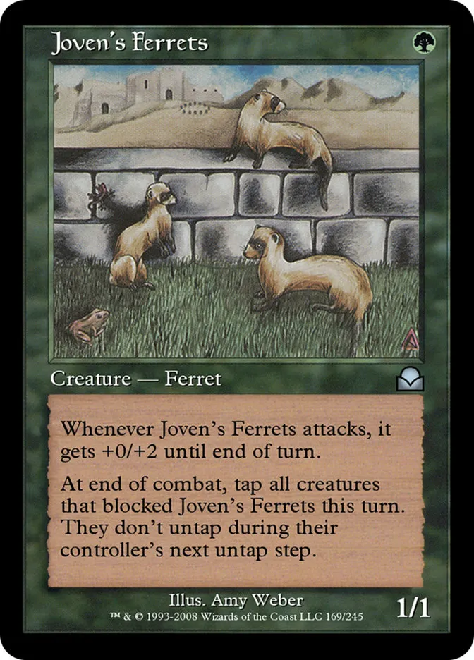Joven's Ferrets Front Face