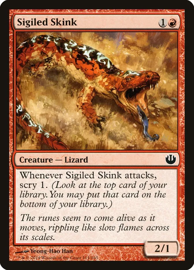 Sigiled Skink Front Face