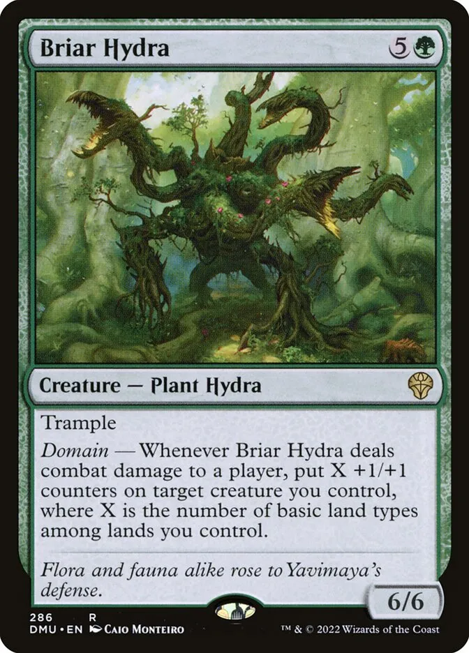 Briar Hydra Front Face