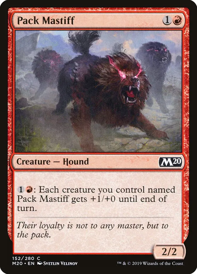 Pack Mastiff Front Face
