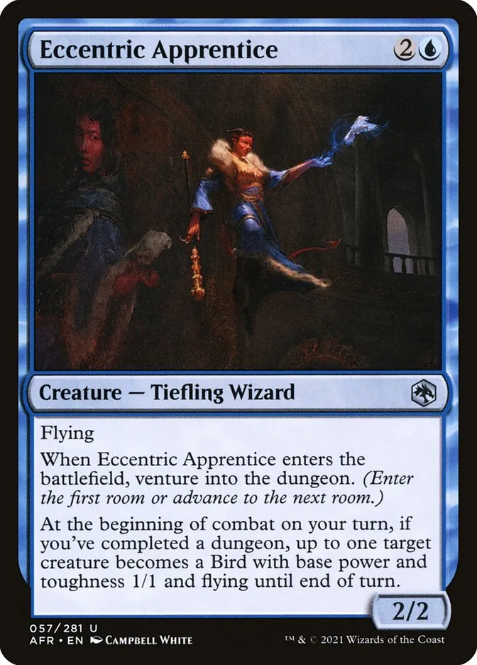 Eccentric Apprentice Front Face
