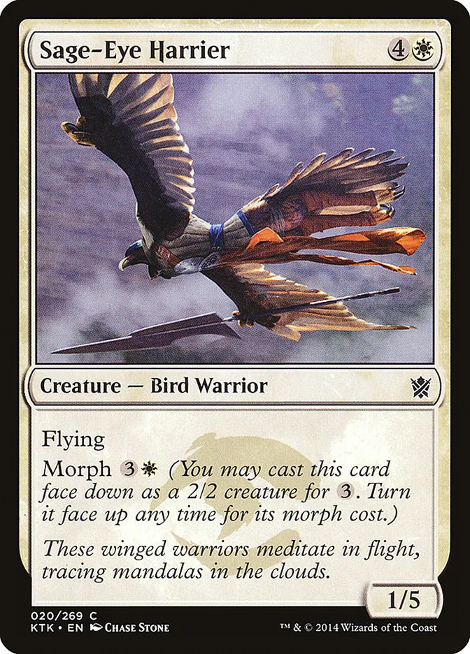 Sage-Eye Harrier Front Face