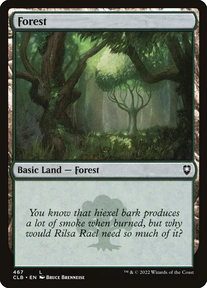 Forest