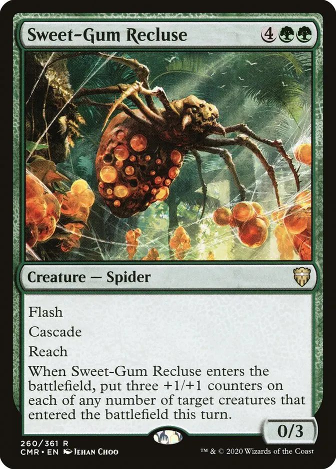 Sweet-Gum Recluse Front Face