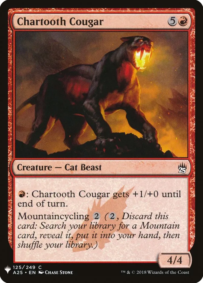 Chartooth Cougar Front Face