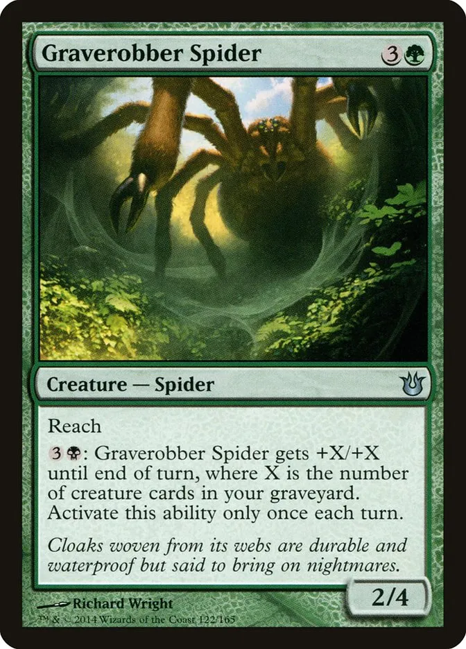 Graverobber Spider Front Face