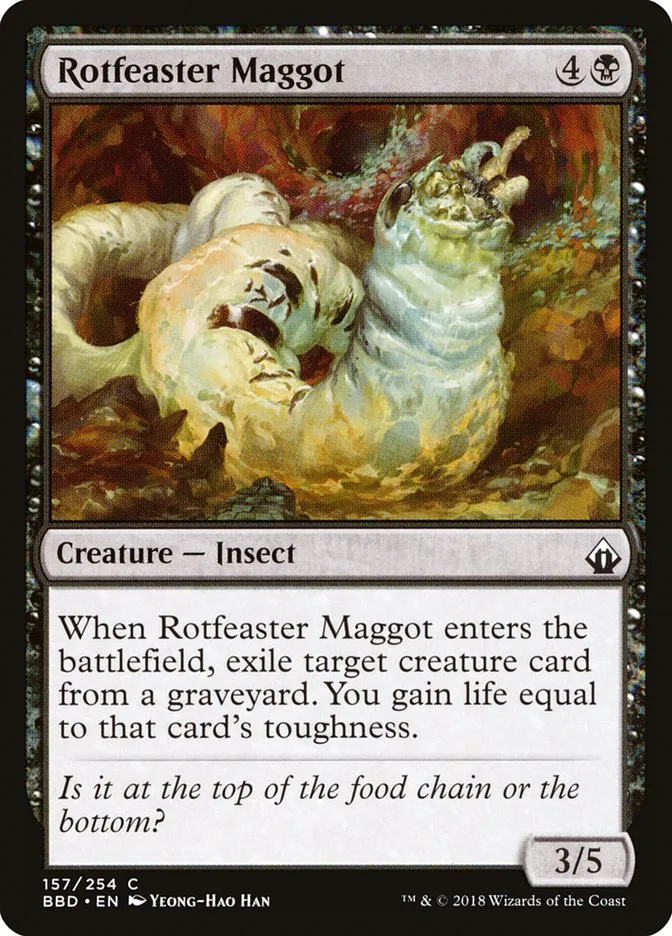 Rotfeaster Maggot Front Face