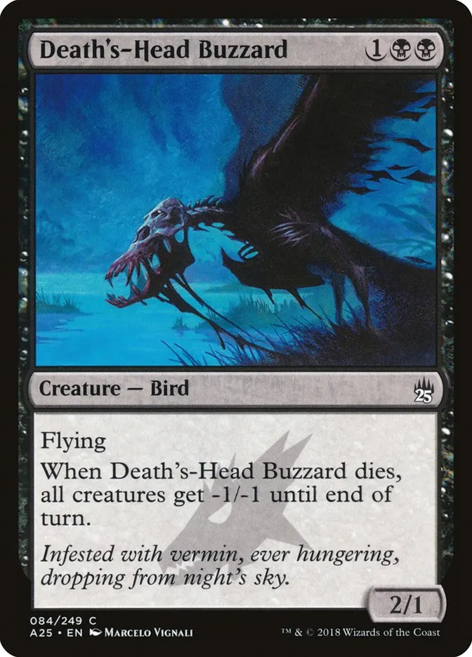 Death's-Head Buzzard Front Face