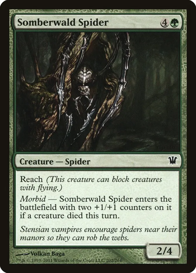 Somberwald Spider Front Face