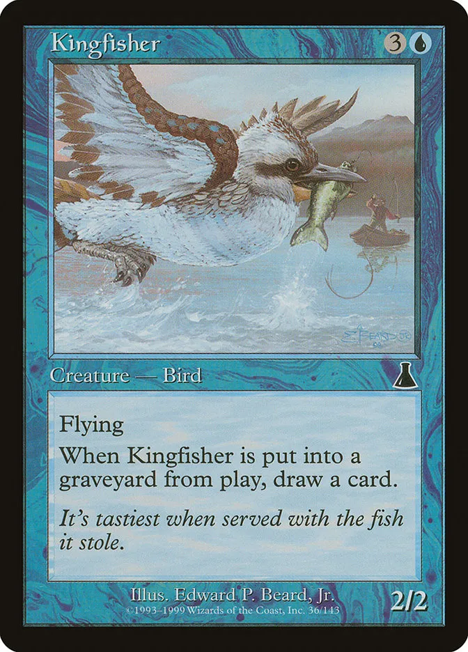 Kingfisher Front Face