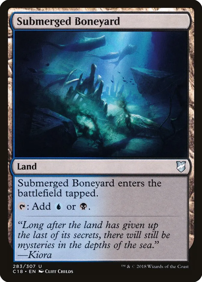 Submerged Boneyard Front Face