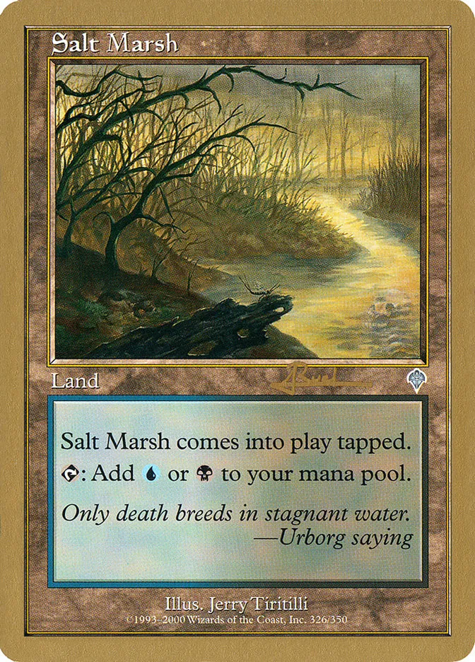 Salt Marsh Front Face