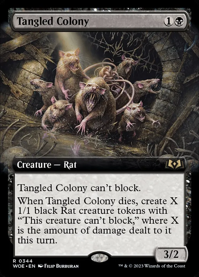 Tangled Colony Front Face
