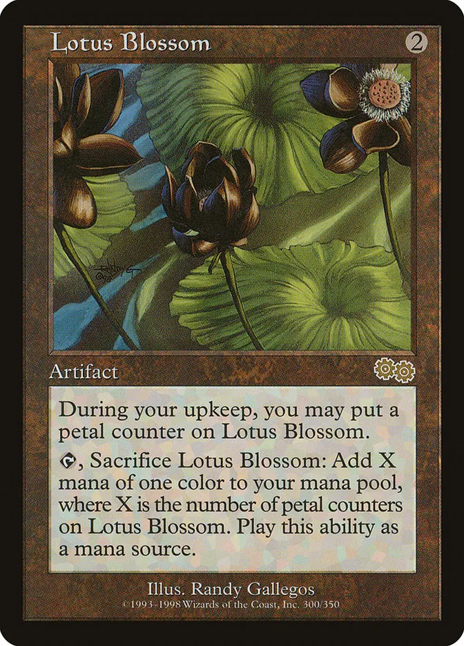 Lotus Blossom Front Face
