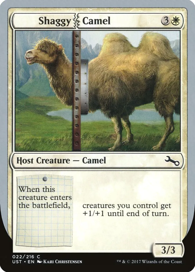 Shaggy Camel Front Face