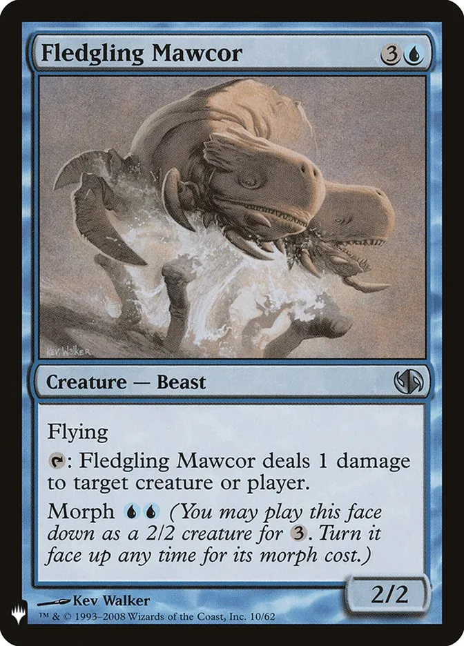 Fledgling Mawcor Front Face