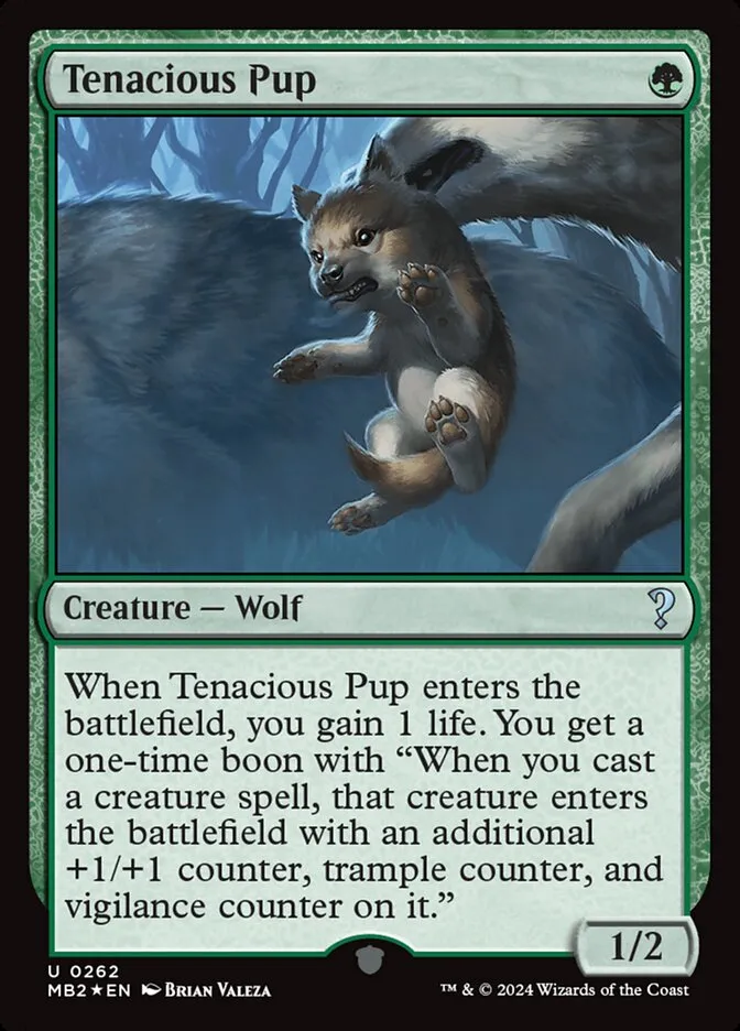 Tenacious Pup Front Face
