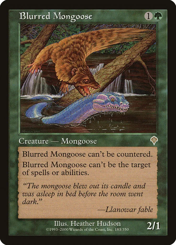 Blurred Mongoose Front Face