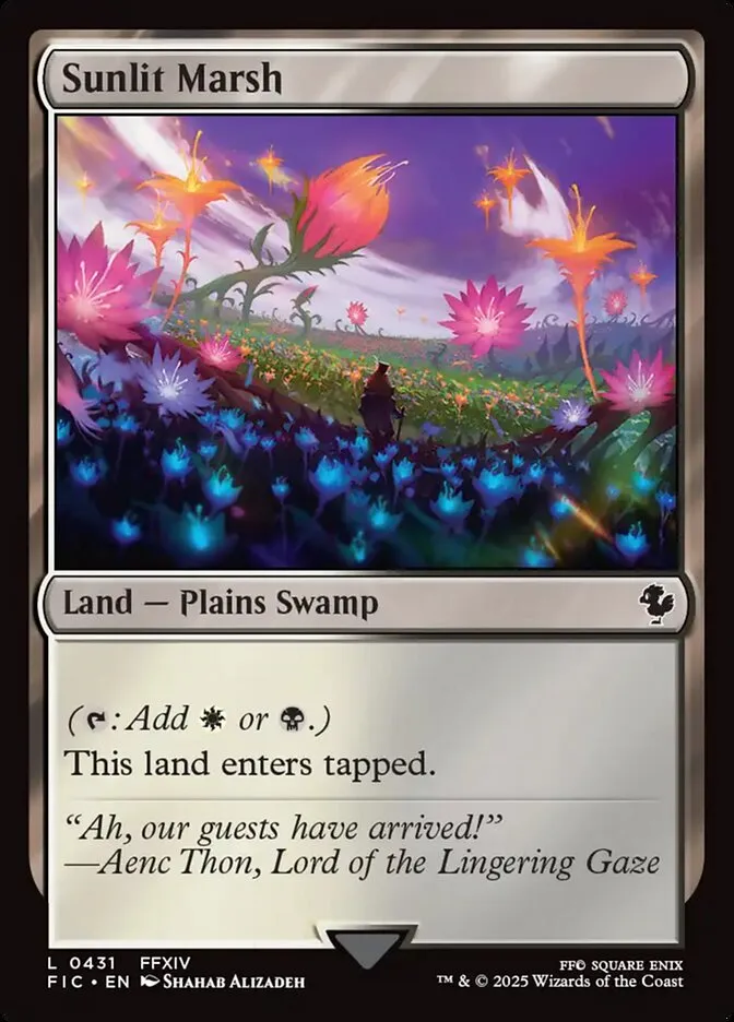 Sunlit Marsh