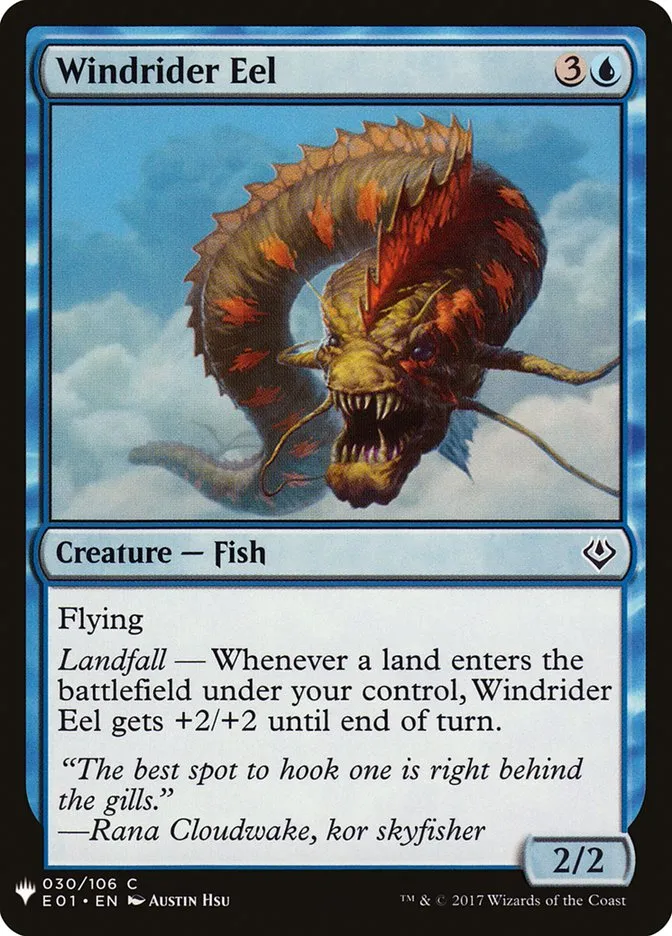 Windrider Eel Front Face