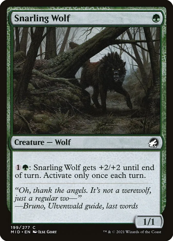 Snarling Wolf Front Face