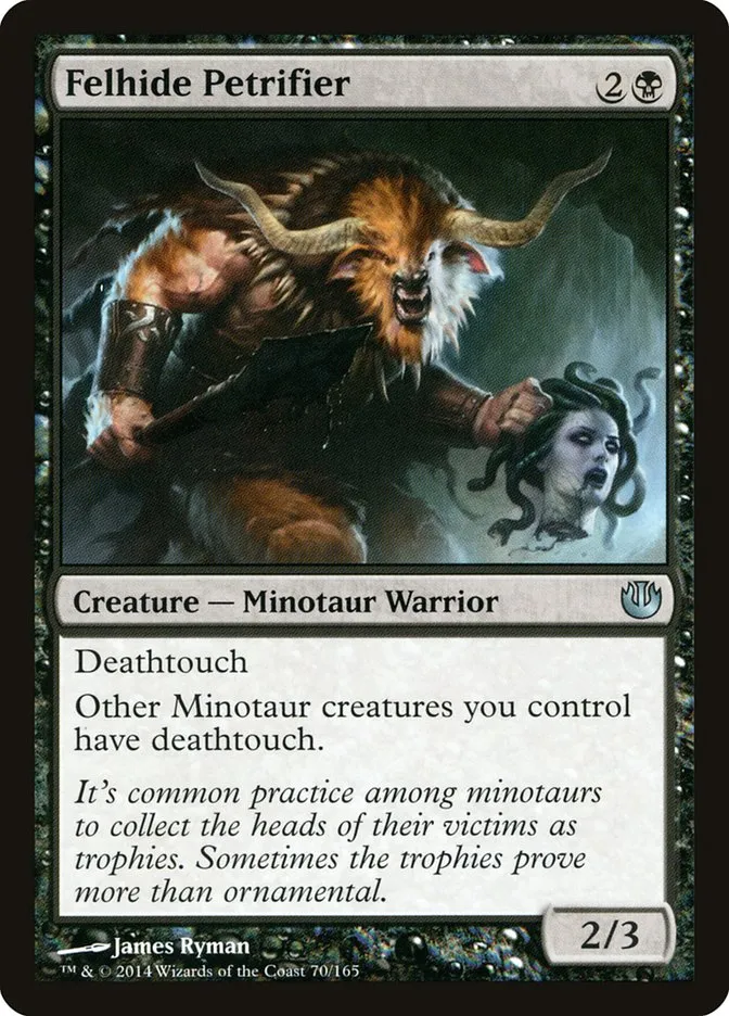 Felhide Petrifier Front Face