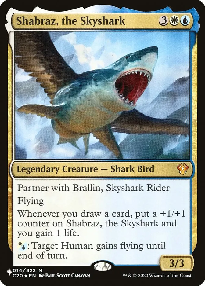 Shabraz, the Skyshark Front Face