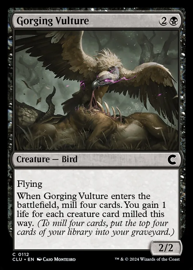 Gorging Vulture Front Face