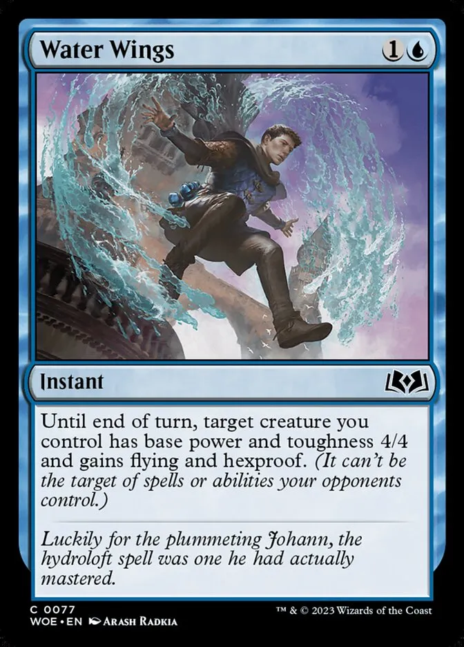 Water Wings Front Face
