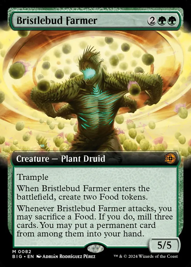 Bristlebud Farmer Front Face
