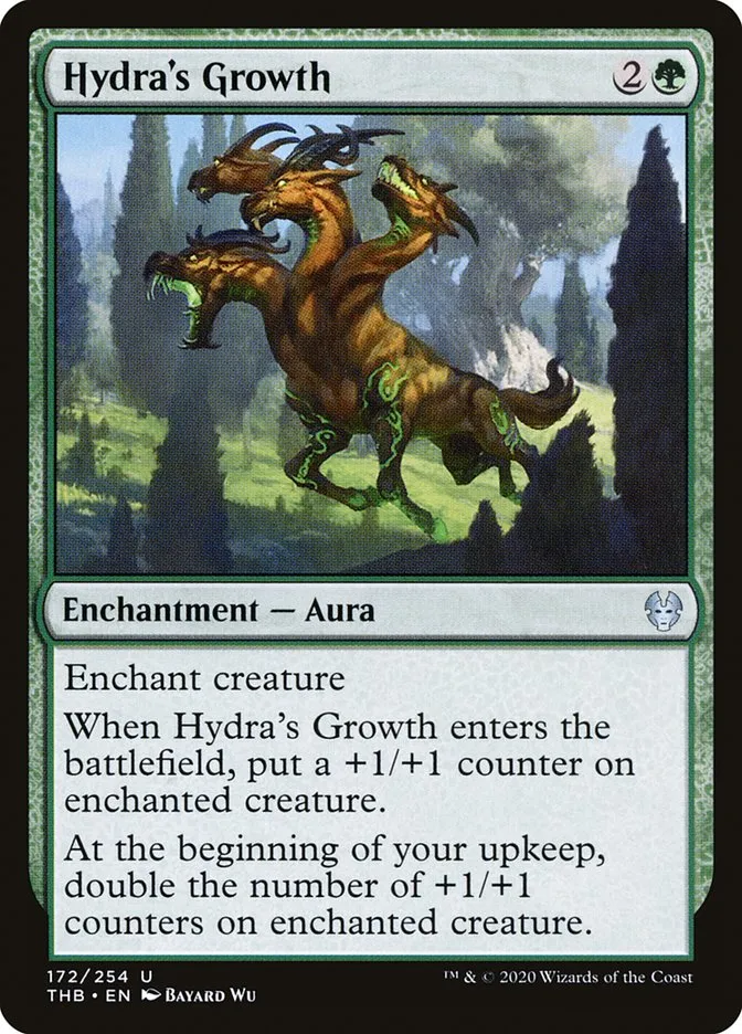 Hydra's Growth Front Face