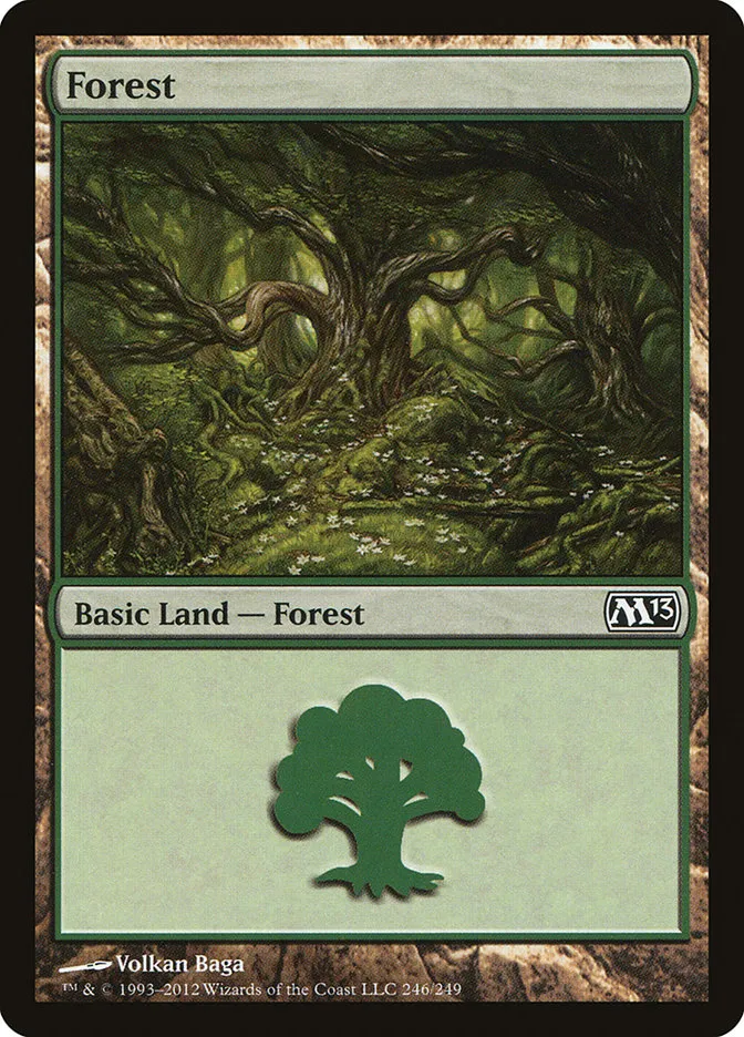 Forest