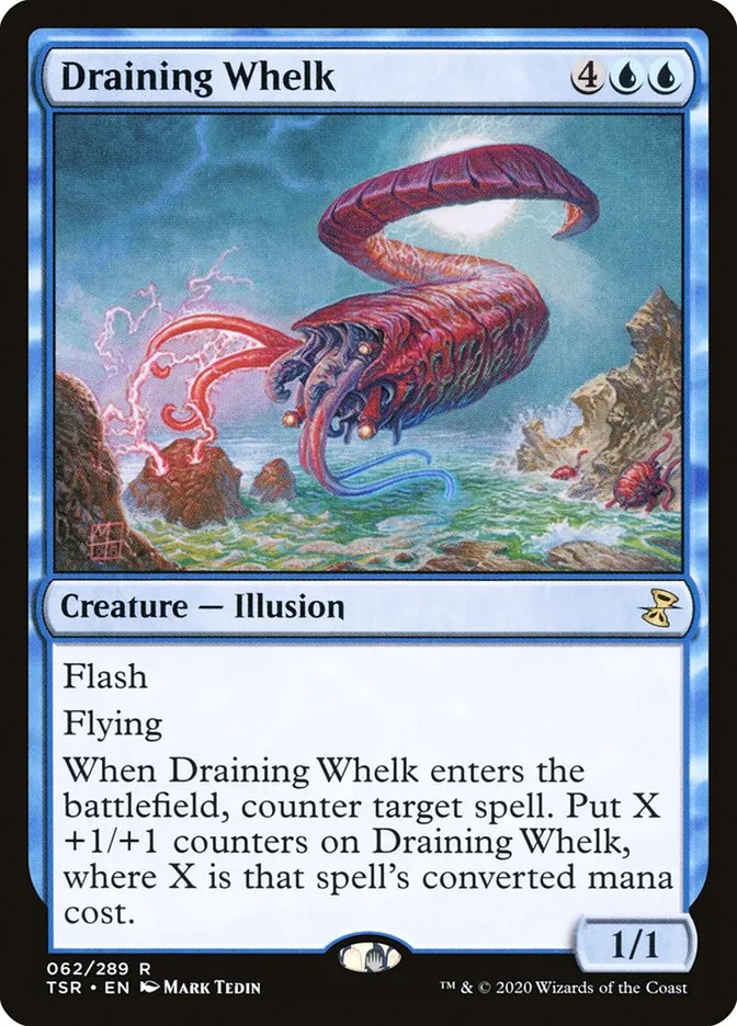 Draining Whelk Front Face