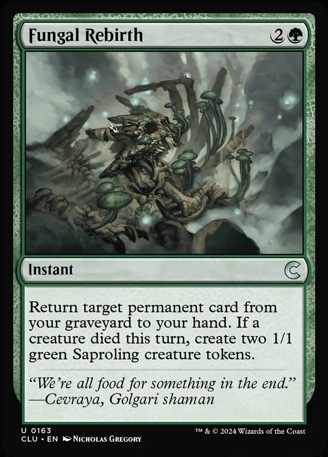 Fungal Rebirth Front Face