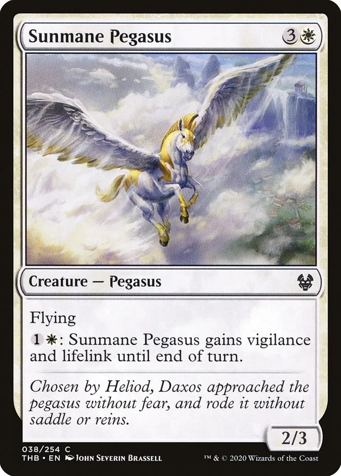 Sunmane Pegasus Front Face