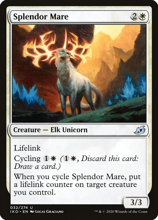 Splendor Mare Front Face