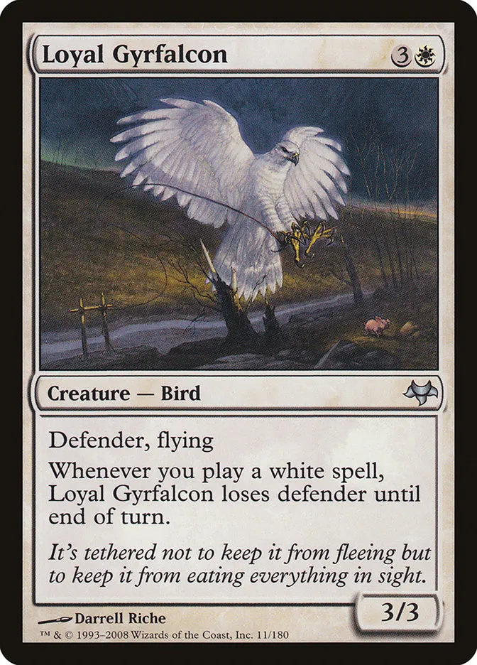 Loyal Gyrfalcon Front Face