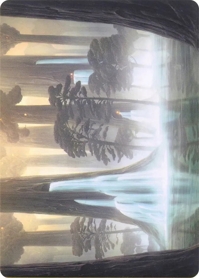 Waterlogged Grove // Waterlogged Grove Front Face
