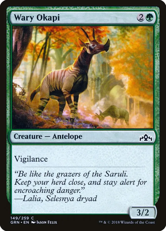 Wary Okapi Front Face