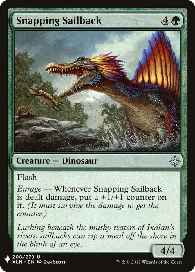Snapping Sailback Front Face