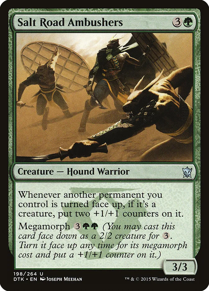 Salt Road Ambushers Front Face
