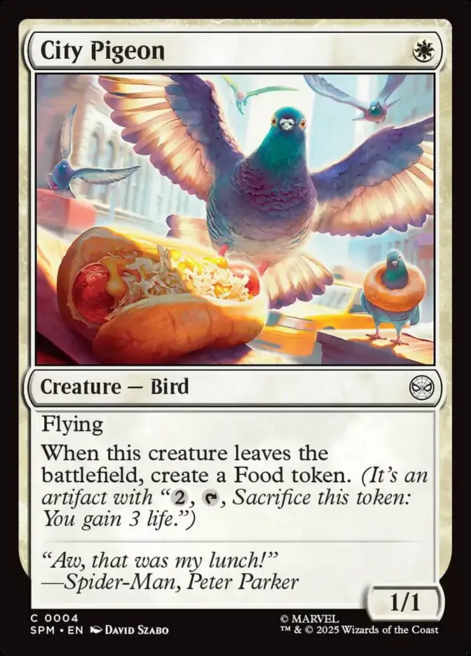 City Pigeon Front Face
