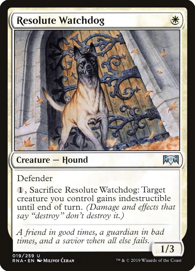 Resolute Watchdog Front Face